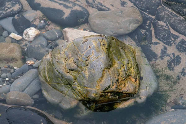 Wet Rokcs Sand Low Tide Close View — Stock Photo, Image