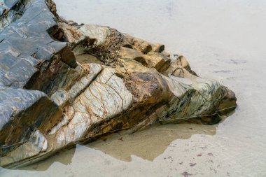 Alçak gelgitte parlak, ıslak bir kaya parçası. Kapat..