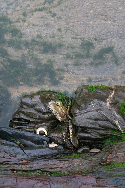 Блискуча Різнокольорова Мокра Скеля Низькому Припливі Крупним Планом — стокове фото