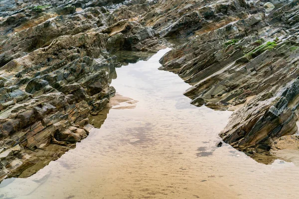 Λαμπερό Πολύχρωμο Υγρό Βράχο Μια Χαμηλή Παλίρροια Κλείσιμο Προβολής — Φωτογραφία Αρχείου