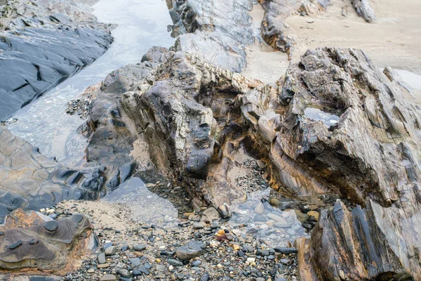 潮水退潮时新的多彩的湿岩 靠近点 — 图库照片