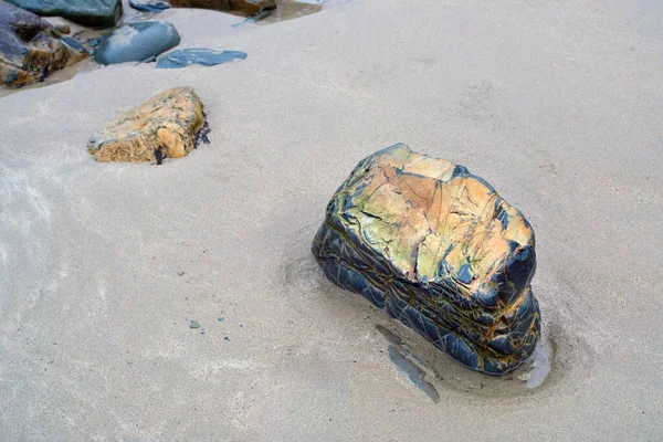 Alçak gelgitte parlak, ıslak bir kaya parçası. Yakın görünüm.