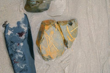 Alçak gelgitte parlak, ıslak bir kaya parçası. Yakın görünüm.