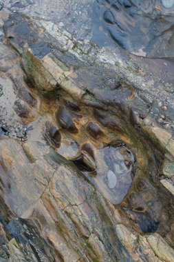 Alçak gelgitte parlak, ıslak bir kaya parçası. Yakın görünüm.