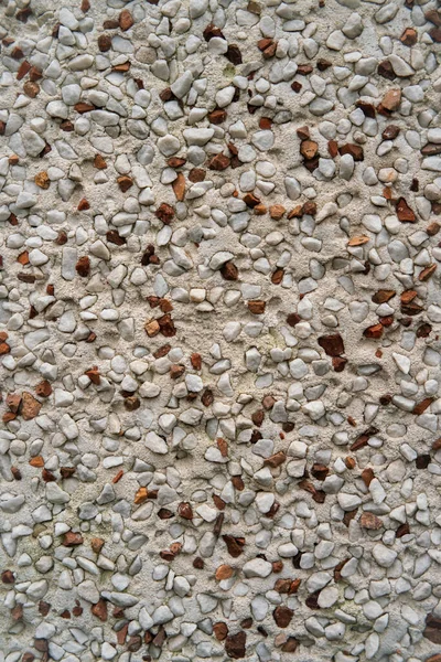 Pürüzlü Çakıl Taşı Kireç Bazen Kum Küçük Çakıl Taşları Kabuklarla — Stok fotoğraf