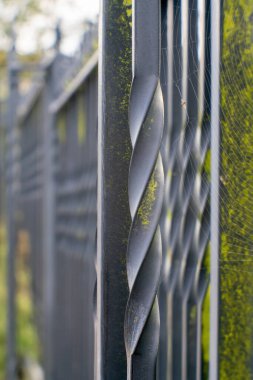 Yosun ve örümcek ağlı metal çitler. Kapat..