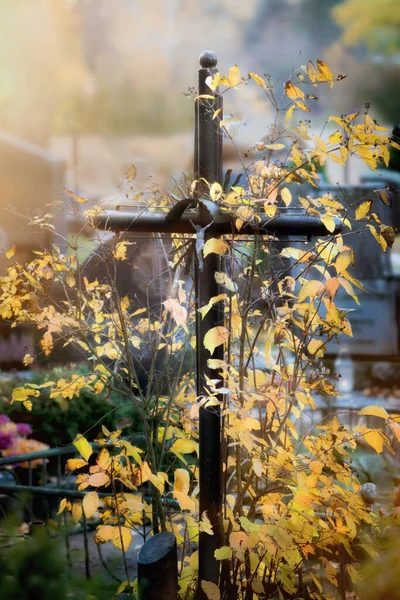 Velhos Cros Metálicos Pretos Com Crucifixo Cemitério Outono Vista Aproximada — Fotografia de Stock