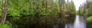 Yazın bir ormanın ortasında su kütlesinin panoramik görüntüsü. Litvanya.