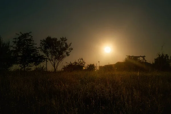 Kırsal Bir Çayırda Güzel Bir Sabah Güneşi Kapat — Stok fotoğraf
