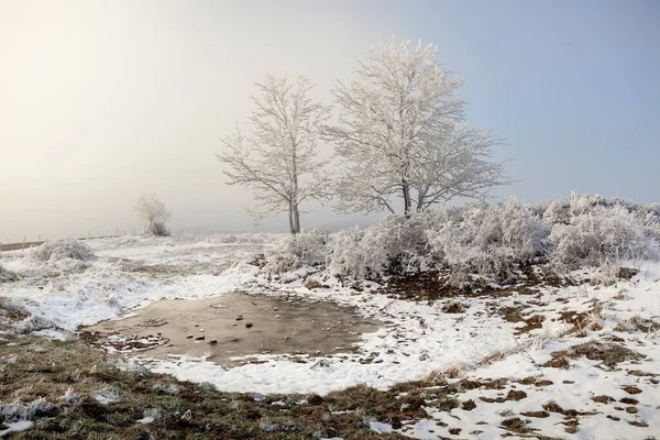 Mont Saleve, Haute-Savoie, Fransa 'nın tepesinde gün doğumu ışığı