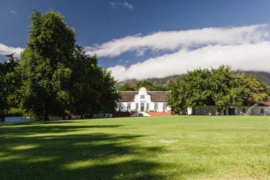 Tüm dünyada şarap ve üzüm bağları - Güney Afrika