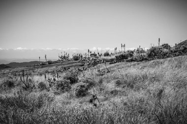 Route Nationale 7, Madagascar, Africa