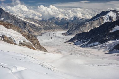Aletsch buzulu manzaralı Jungfrau 'da bir yaz.