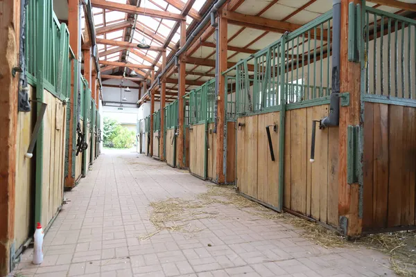 Foto Estábulo Animais Rurais Para Criação Cavalos Dentro Casa — Fotografia de Stock