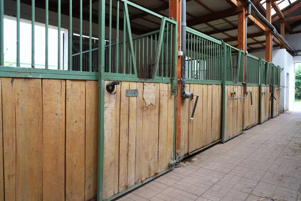 Foto Estábulo Animais Rurais Para Criação Cavalos Dentro Casa — Fotografia de Stock