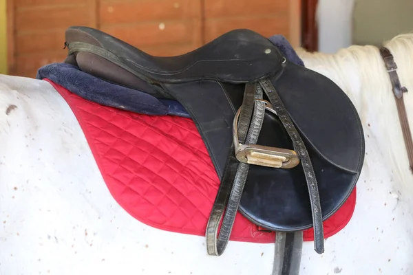 Close up of a sport horse saddle. Old quality leather saddle ready for show jumping  event. Equestrian sport background outdoors