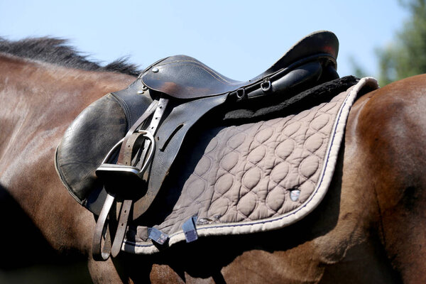 Крупным планом спортивного седла. Старое качественное кожаное седло, готовое для соревнований по конкуру. Конный спорт на открытом воздухе