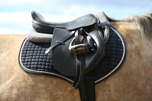 Close up of a sport horse saddle. Old quality leather saddle ready for show jumping  event. Equestrian sport background outdoors