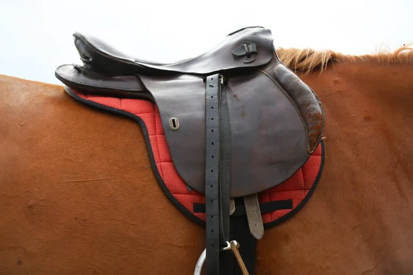 Avvicinamento Una Sella Cavallo Sportiva Sella Pelle Vecchia Qualità Pronta — Foto Stock