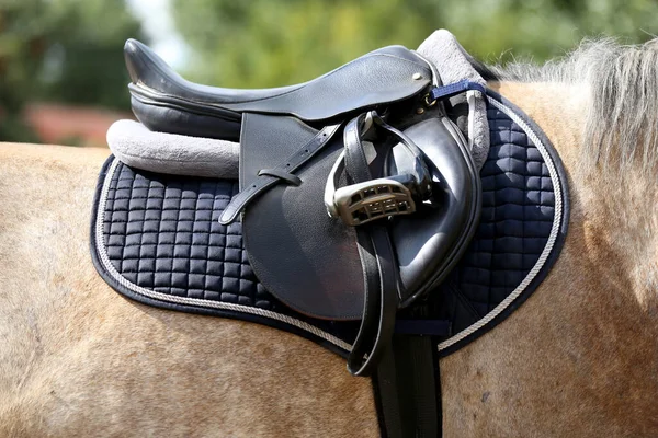 Close up of a sport horse saddle. Old quality leather saddle ready for show jumping  event. Equestrian sport background outdoors