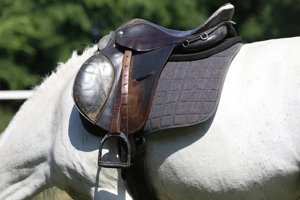 Close Sport Horse Saddle Old Quality Leather Saddle Ready Show — Stock Fotó