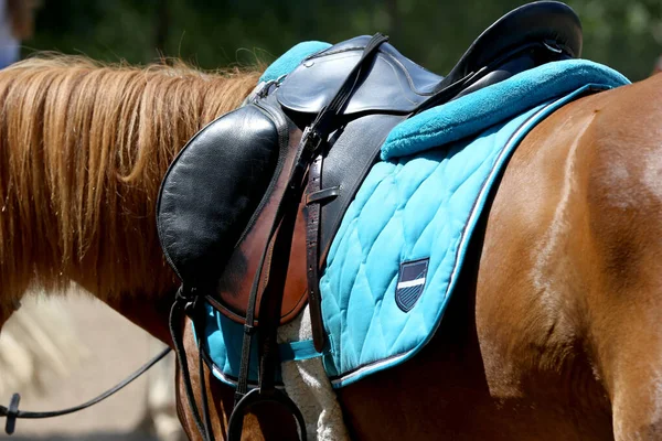 Feche Uma Sela Cavalo Esporte Sela Couro Qualidade Antiga Pronto — Fotografia de Stock