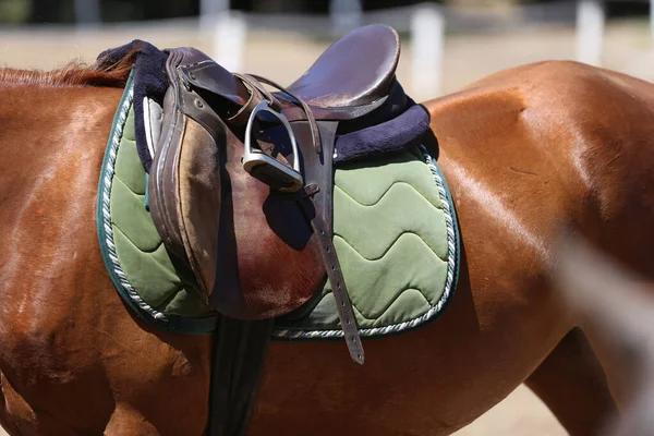 Close up of a sport horse saddle. Old quality leather saddle ready for show jumping  event. Equestrian sport background outdoors