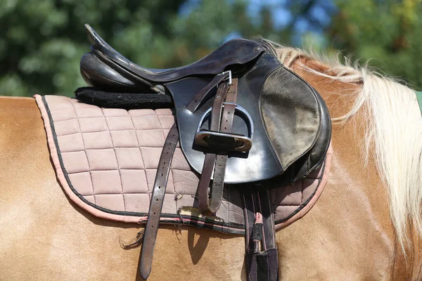 Close up of a sport horse saddle. Old quality leather saddle ready for show jumping  event. Equestrian sport background outdoors