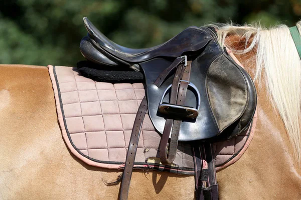 Zblízka Sedlo Sportovního Koně Staré Kvalitní Kožené Sedlo Připravené Přehlídku — Stock fotografie