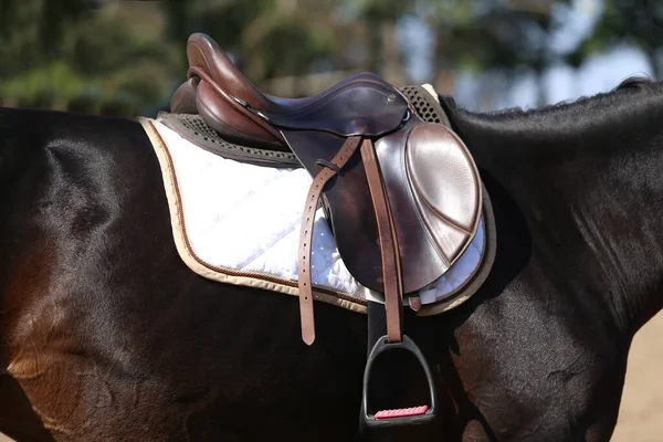 Close up of a sport horse saddle. Old quality leather saddle ready for show jumping  event. Equestrian sport background outdoors