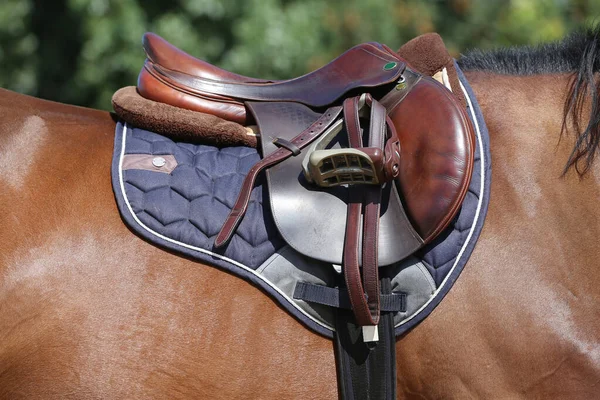 Close Sport Horse Saddle Old Quality Leather Saddle Ready Show — ストック写真