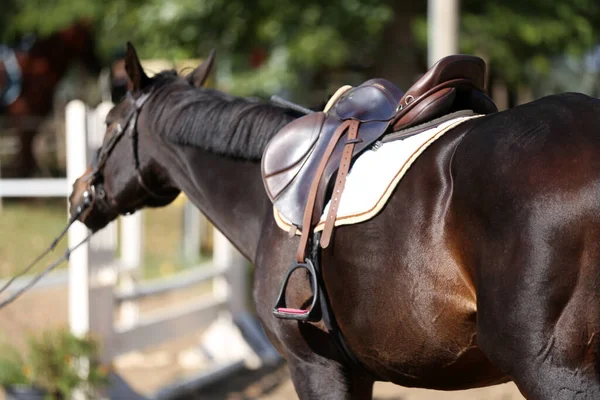 Dekat Dari Pelana Kuda Olahraga Pelana Kulit Kualitas Lama Siap — Stok Foto
