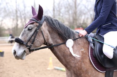 Bilinmeyen bir rakip, yaz aylarında kapılarımızda at biniyor. Atlayan at ödül kazanmış kurdele takıyor. Binicilik sporları. Atlı kız eyerde oturuyor.