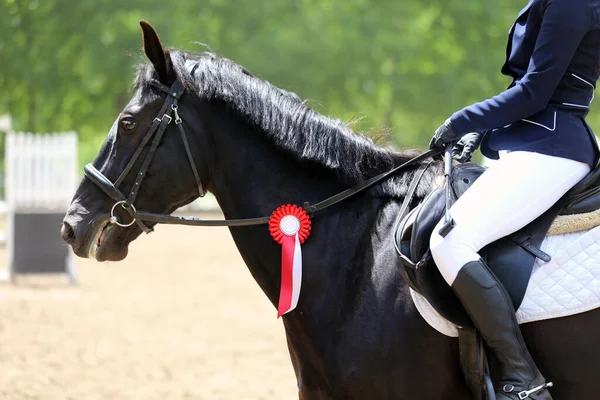 Competidor Desconhecido Montar Cavalo Esporte Evento Equitação Verão Ourdoors Mostrar — Fotografia de Stock