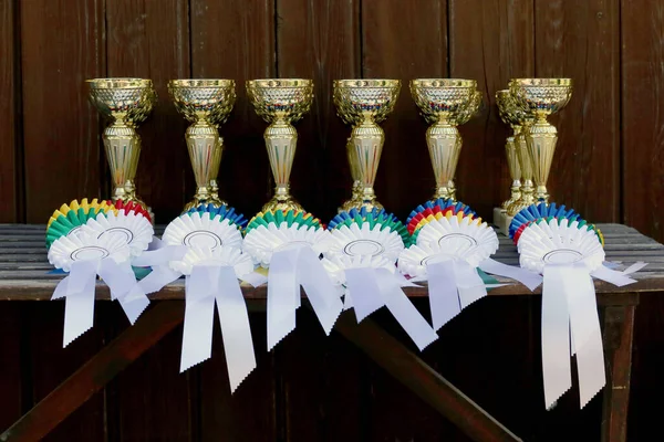 Groep Van Paardensport Trofeeën Badges Rozetten Paardensport Evenement Rij Stapel — Stockfoto