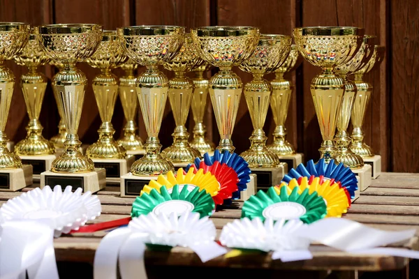 Group of equestrian sport trophies and badges rosettes at equestrian event in row. Pile of sport trophies and badges rosettes for the winners on show jumping competition