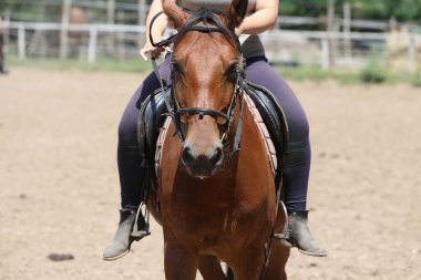  Kimliği belirlenemeyen yarışmacıyı gösteri atıyla yakın çekime alın. Yaz mevsiminde donanım etkinliği. Atlayan atı eyer altında göster. Tanınmayan binici yarış sırasında atının üstünde oturur. 
