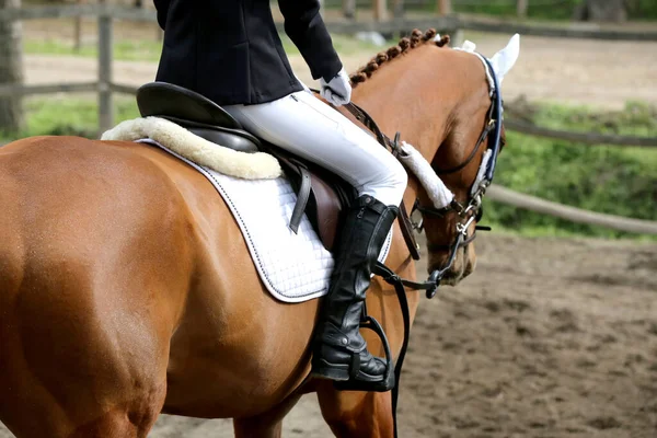 Close Competidor Não Identificado Cavaleiro Show Jumper Cavalo Evento Equitação — Fotografia de Stock