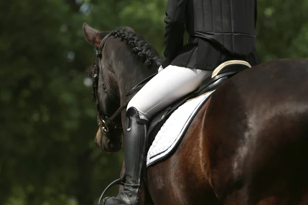 Primer Plano Del Jinete Competidor Identificado Caballo Saltador Espectáculo Evento — Foto de Stock