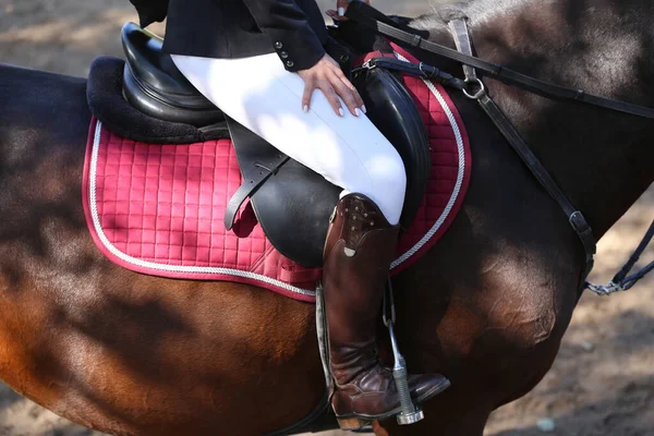 未確認の競合他社ライダーのショージャンパー馬のクローズアップ 夏の赤道イベント 鞍の下にジャンプ馬を表示します 知られていないドレッジライダーはレース中に彼女のスポーツ馬に座って — ストック写真