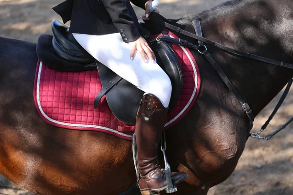 未確認の競合他社ライダーのショージャンパー馬のクローズアップ 夏の赤道イベント 鞍の下にジャンプ馬を表示します 知られていないドレッジライダーはレース中に彼女のスポーツ馬に座って — ストック写真