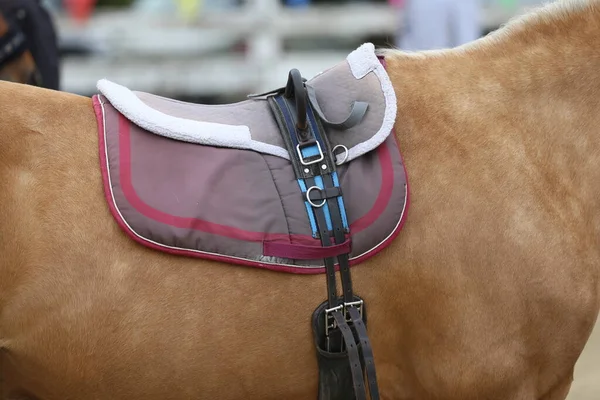 Close up of a sport horse saddle. Quality classical leather saddle ready for horse workout. Equestrian sport background outdoors