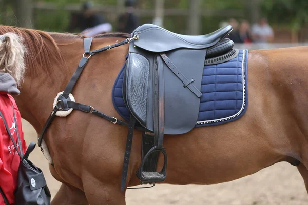 Close up of a sport horse saddle. Quality classical leather saddle ready for horse workout. Equestrian sport background outdoors