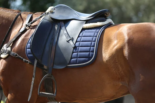 Close up of a sport horse saddle. Quality classical leather saddle ready for horse workout. Equestrian sport background outdoors