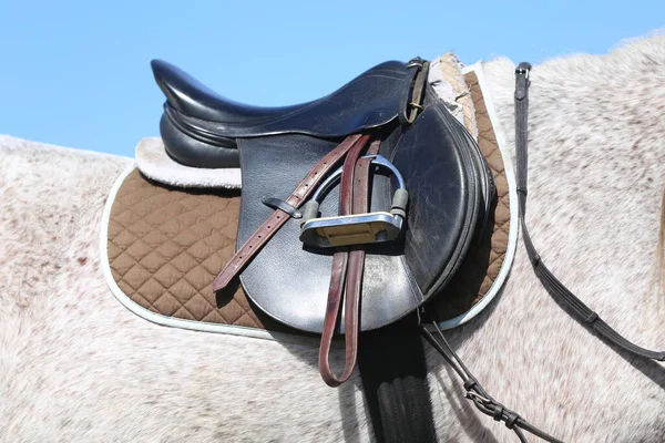 Close up of a sport horse saddle. Quality classical leather saddle ready for horse workout. Equestrian sport background outdoors