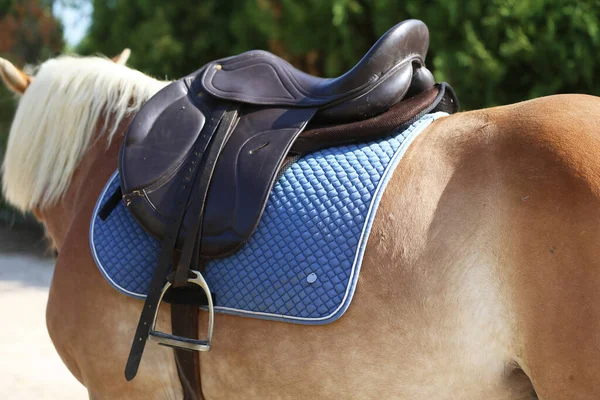 Primer Plano Una Silla Montar Deportiva Sillín Cuero Clásico Calidad — Foto de Stock