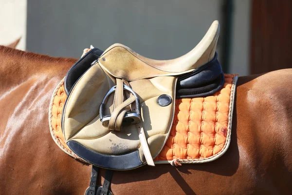 Close up of a sport horse saddle. Quality classical leather saddle ready for horse workout. Equestrian sport background outdoors