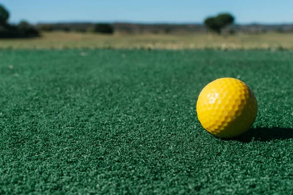 Гольф Мяч Зеленой Траве — стоковое фото