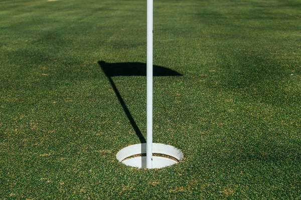 Yeşil çimlerin üzerindeki golf deliği