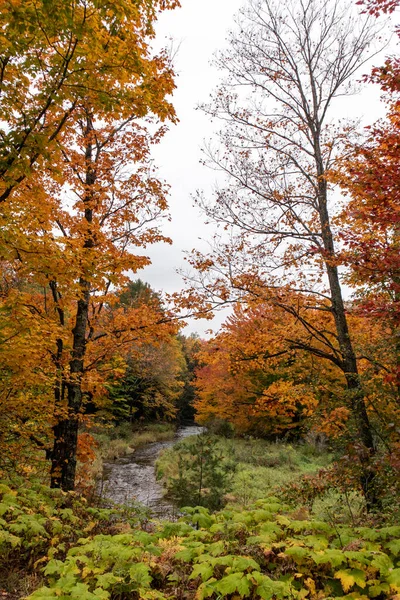 Fall Pilgrim River Houghton Michigan Ottobre 2021 — Foto Stock